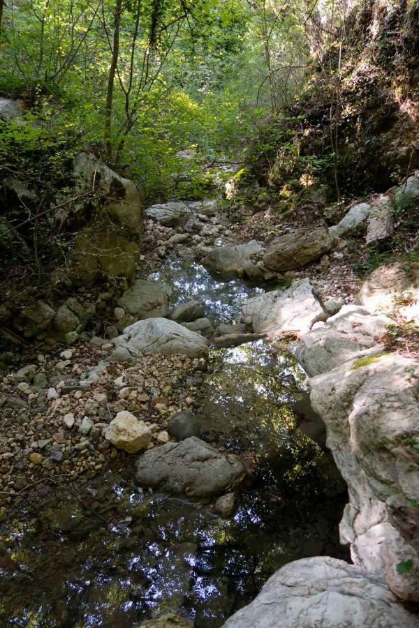 Виллы Oak Leaf Residences Свети-Стефан