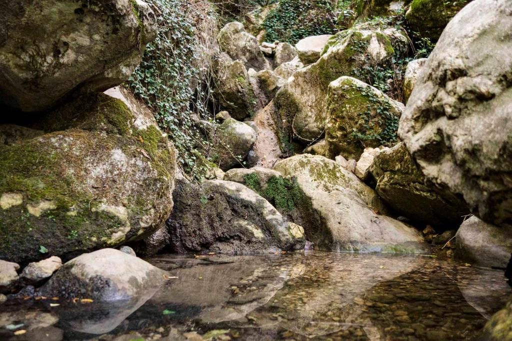 Виллы Oak Leaf Residences Свети-Стефан