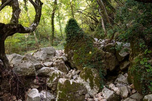 Виллы Oak Leaf Residences Свети-Стефан-33